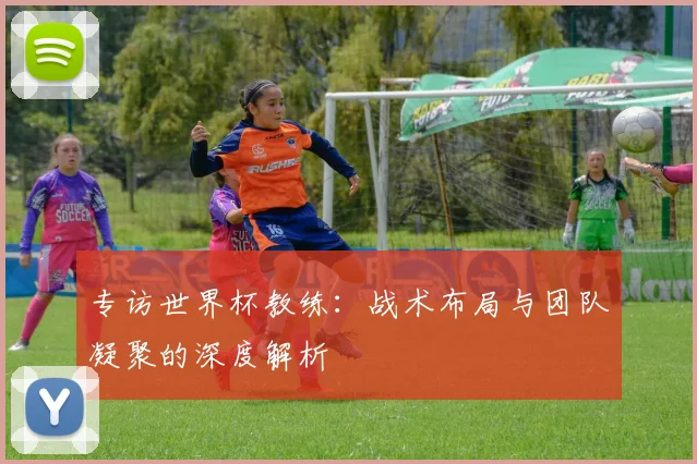 专访世界杯教练：战术布局与团队凝聚的深度解析