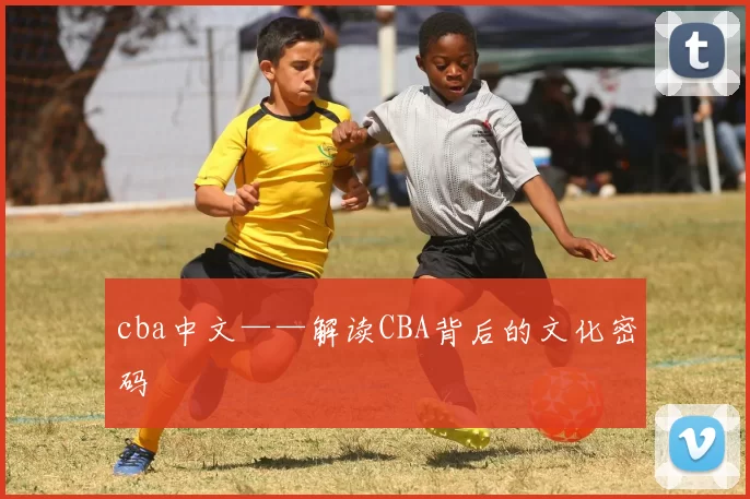 cba中文——解读CBA背后的文化密码