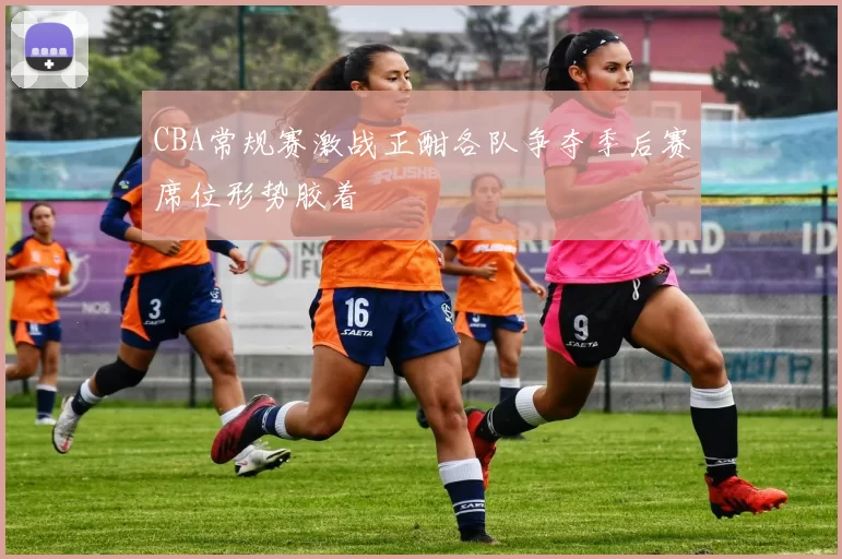 CBA常规赛激战正酣各队争夺季后赛席位形势胶着